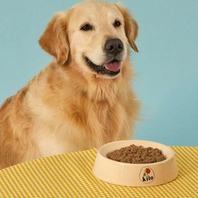 Kito 250 gr 10 Adet Fresh Somon Etli Köpek Maması
