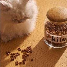Kito 8 kg Doğal Besi Kuzu Etli Kısır Kedi Maması