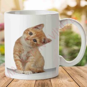Kitten Free Png Image Baskılı Kupa Bardak