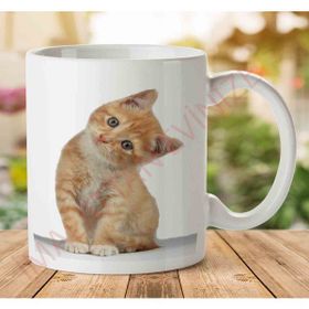 Kitten Free Png Image Baskılı Kupa Bardak