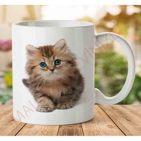Kitten Png Hd Baskılı Kupa Bardak
