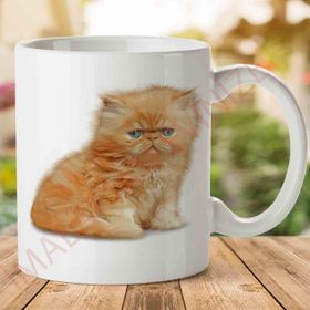 Kitten Png Image Baskılı Kupa Bardak