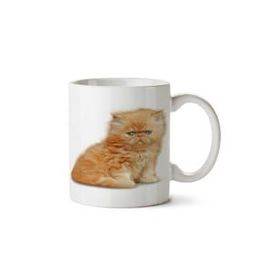 Kitten Png Image Baskılı Kupa Bardak