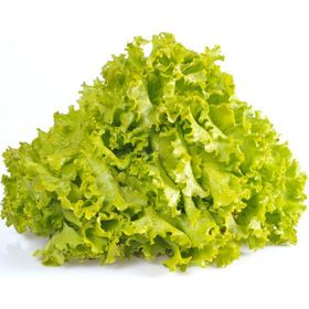 Kıvırcık Marul (Adet)