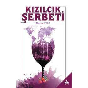 Kızılcık Şerbeti - Birgül Akkuş