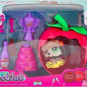 Kızılkaya Oyuncak KZL-CL2103 1-4 Elmalı Pet Star Oyun Seti