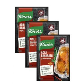 Knorr 31 gr Acılı Baharatlı Fırında Tavuk Çeşnisi