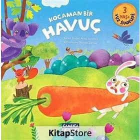 Kocaman Bir Havuç - Nalan Aktaş Sönmez