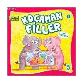 KOCAMAN FILLER - GENEL