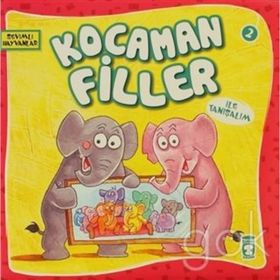 KOCAMAN FILLER - GENEL