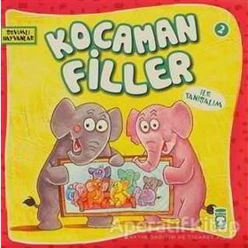 KOCAMAN FILLER - GENEL