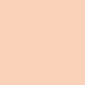 Koh-i Noor 8820/28 Light Orange Artist Pastel Boya Kalemi