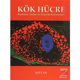 Kök Hücre - Alp Can