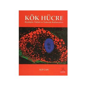 Kök Hücre - Alp Can