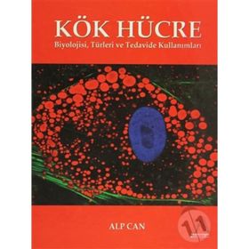 Kök Hücre - Alp Can