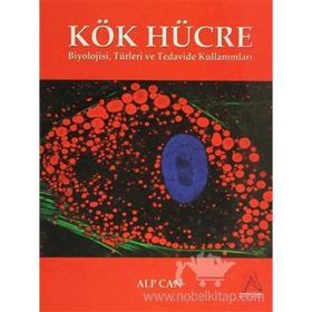 Kök Hücre - Alp Can
