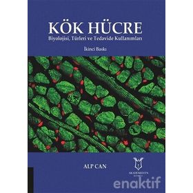 Kök Hücre - Alp Can