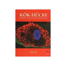 Kök Hücre - Alp Can
