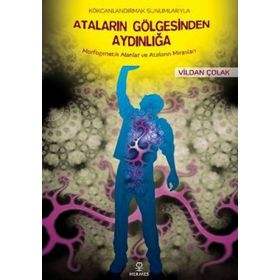 KÖKCANLANDIRMAK SUNUMLARIYLA ATALARIN GÖLGESİNDEN AYDINLIĞA MORFOGENETIK ALANLAR VE ATALARIN MIRASL - VILDAN ÇOLAK