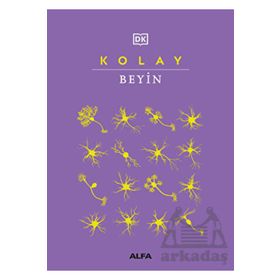 Kolay Beyin Alfa Yayınları