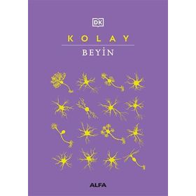 Kolay Beyin Alfa Yayınları