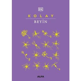 Kolay Beyin Alfa Yayınları