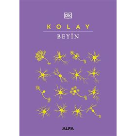 Kolay Beyin Alfa Yayınları