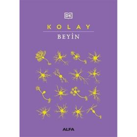 Kolay Beyin Alfa Yayınları