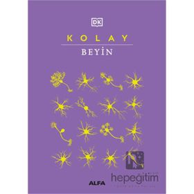 Kolay Beyin Alfa Yayınları