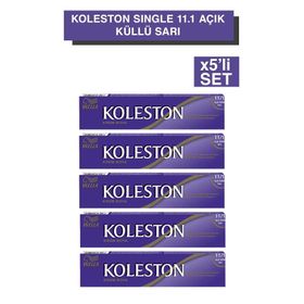 Koleston Single 11/1 Açık Küllü Sarı 5'li Tüp Boya