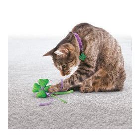 Kong 035585351001 6-7 cm Kedi Yün Hışırtı Oyuncak Ve Tasma Süsü