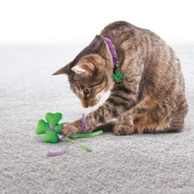 Kong 035585351018 7-8 cm Kedi Yün Hışırtı Oyuncak Ve Tasma Süsü
