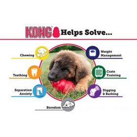 Kong 9 cm Classic Ödül Hazneli Köpek Oyuncağı