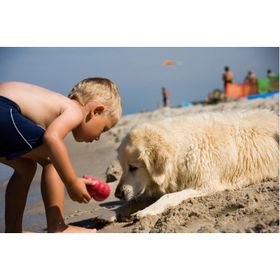 Kong Classic Small 8 cm Köpek Oyuncak