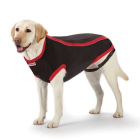 Kong Köpek Anksiyete Giderici L Elbise