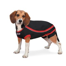Kong Köpek Anksiyete Giderici S Elbise