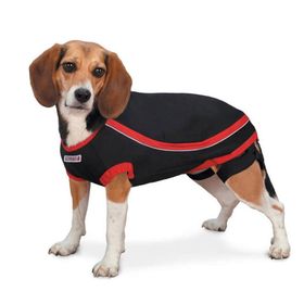 Kong Köpek Anksiyete Giderici XS Elbise