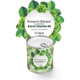 Konserve Bahçem Evde Konservede İri Yapraklı Kıvırcık Yetiştirme Kiti