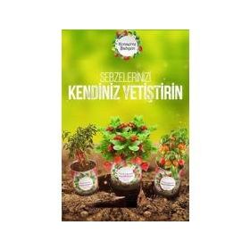 Konserve Bahçem Evde Konservede Kemer Patlıcan Yetiştirme Kiti