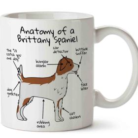 Köpek Anatomisi Brittany Spaniel Anatomy Baskılı Kupa