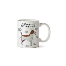 Köpek Anatomisi Brittany Spaniel Anatomy Baskılı Kupa