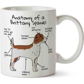 Köpek Anatomisi Brittany Spaniel Anatomy Baskılı Kupa