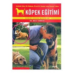 KÖPEK EĞİTİMİ TERBIYELI, USLU, SÖZ DINLEYEN, ÖRNEK BIR KÖPEĞE SAHIP OLMANIN YOLLARI - QUIXI SONNTAG