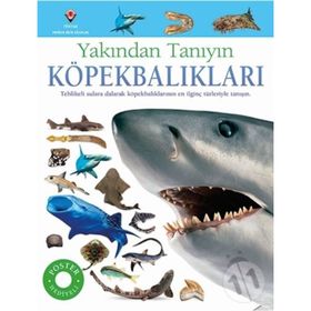 Köpekbalıkları - Yakından Tanıyın - Miranda McQuitty