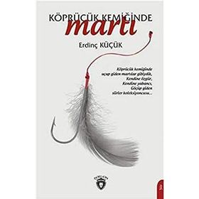 Köprücük Kemiğinde Martı - Dorlion Yayınevi