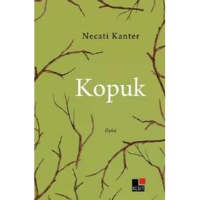 Kopuk Necati Kanter