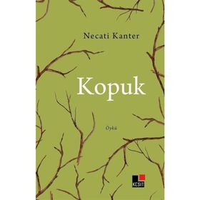 Kopuk Necati Kanter