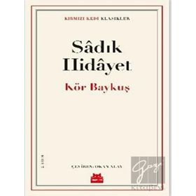 Kör Baykuş Kırmızı Kedi Yayınevi