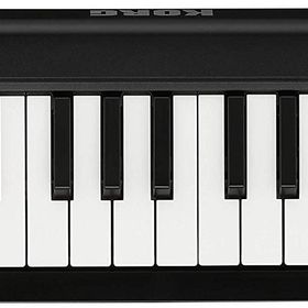 Korg MicroKEY2 49 Tuş Midi Klavye