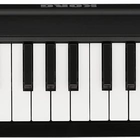 Korg MicroKEY2 49 Tuş Midi Klavye
